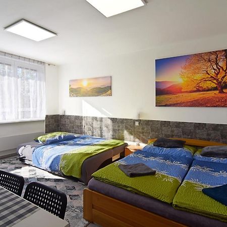 Apartman Nikola Trojanovice Buitenkant foto