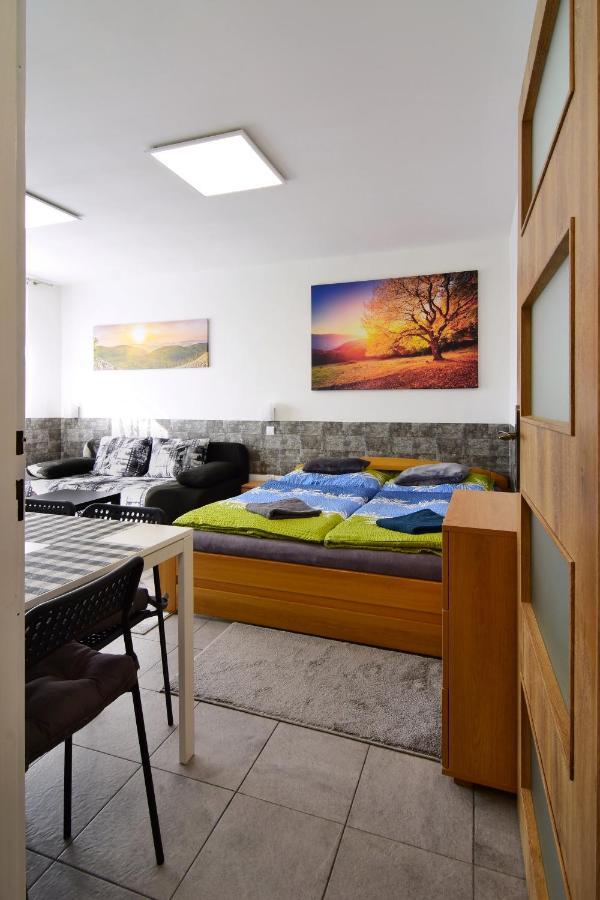 Apartman Nikola Trojanovice Buitenkant foto
