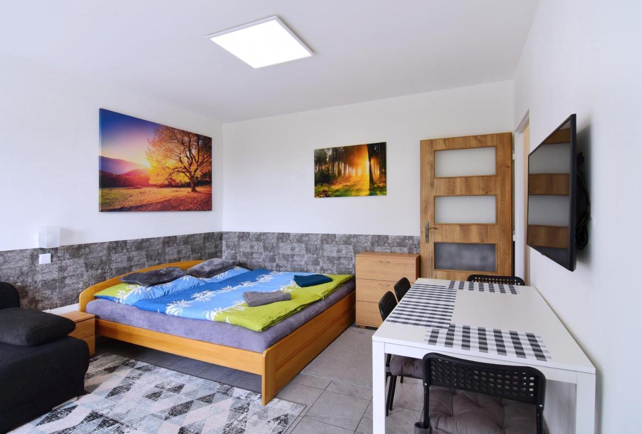 Apartman Nikola Trojanovice Buitenkant foto