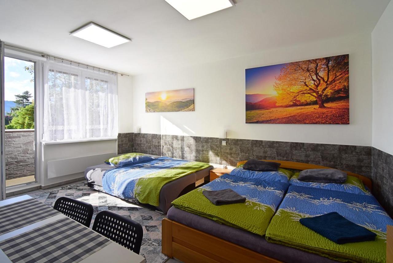 Apartman Nikola Trojanovice Buitenkant foto