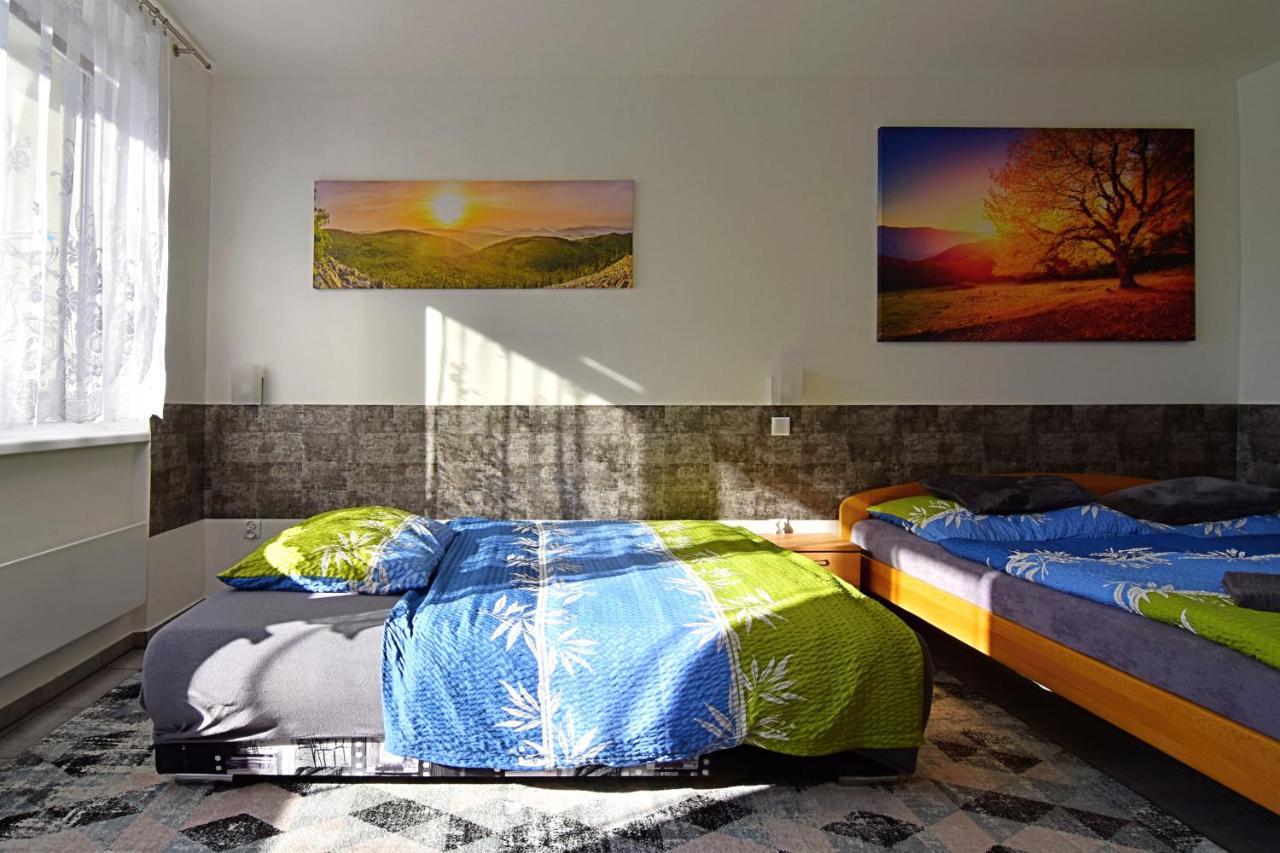 Apartman Nikola Trojanovice Buitenkant foto