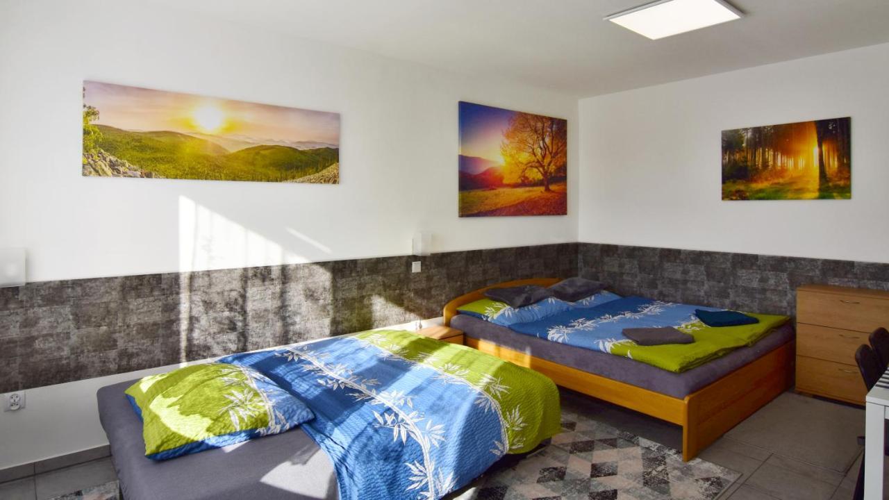 Apartman Nikola Trojanovice Buitenkant foto